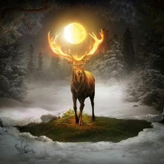 ZIMNÍ SLUNOVRAT - 21.12.2025 v 16:03 h Nastal zimní slunovrat, zrození Slunce a temné noci staré zimy. Slunce dnes dosáhlo...